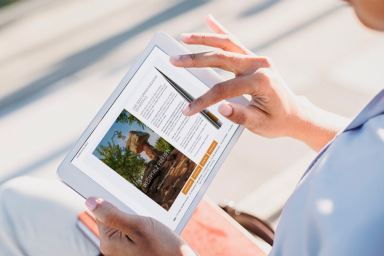 Travel E-Paper
